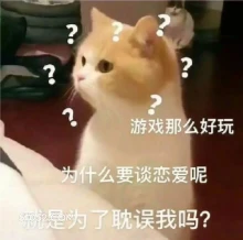 A ? ? 游戏那么 可爱 不好惹 猫咪 猫猫