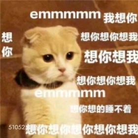 emmmmm我想你  可爱 不好惹 猫猫 猫咪