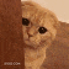 可爱不好惹猫猫猫咪 可爱 不好惹 猫猫 猫咪