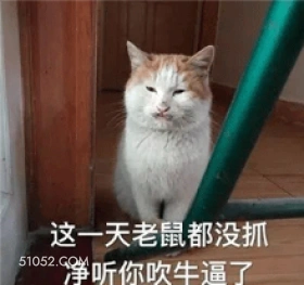 这一天老鼠都没抓 净 可爱 不好惹 猫猫 猫咪