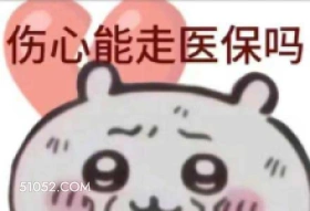 伤心能走医保吗 女王