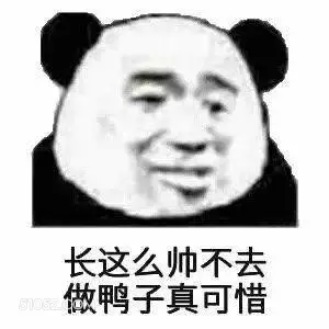 这么帅不做鸭子可惜 帅哥 鸭子