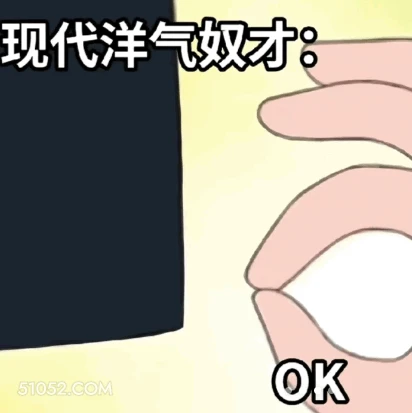 洋气奴才 2024年6月24日 打工人 工作