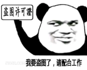 盗图许可证 盗图