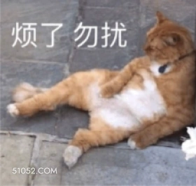 丧丧的猫咪 猫猫
