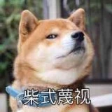 柴式蔑视 狗 二哈 萌宠