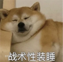 装睡 狗子 狗