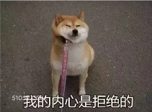 我的内心是拒绝的 狗 二哈 萌宠