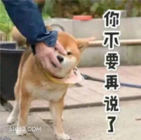 你不要再说了 萌宠 狗 二哈
