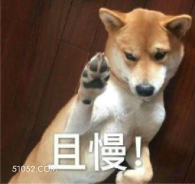 且慢 狗子 傻狗