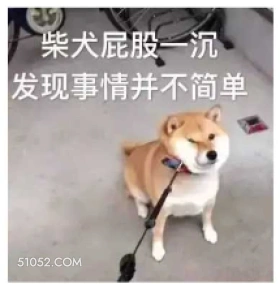 拒绝 狗子