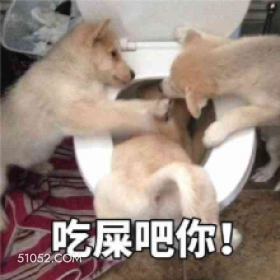 吃屎 狗子