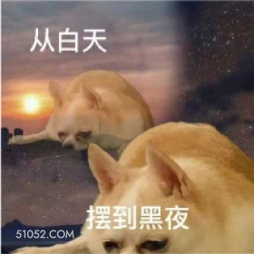 从白天到黑夜 狗子