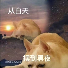 从白天到黑夜 狗子
